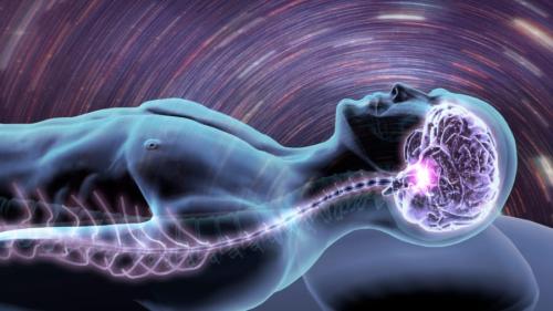 あなたの睡眠はどのタイプ? 脳に刻まれた眠り方のクセ