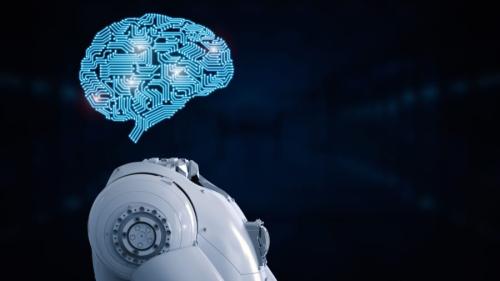 まとめ:AIが法則を提案、人間が意味を追う時代へ