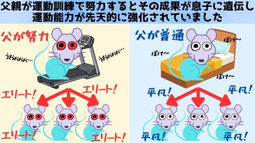 努力の成果が遺伝する可能性が出てきた