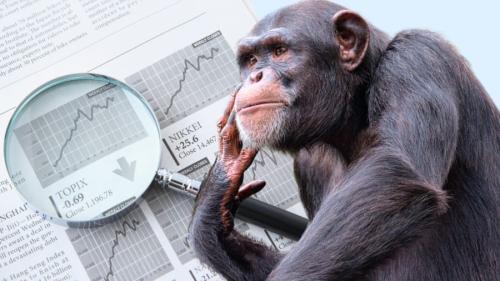 チンパンジーは「証拠の価値」の変化すら察し信念を変更できる