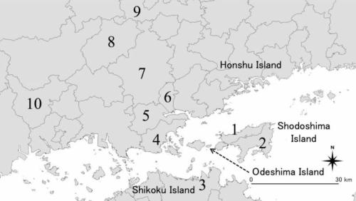 なぜイノシシは海を渡ったのか?