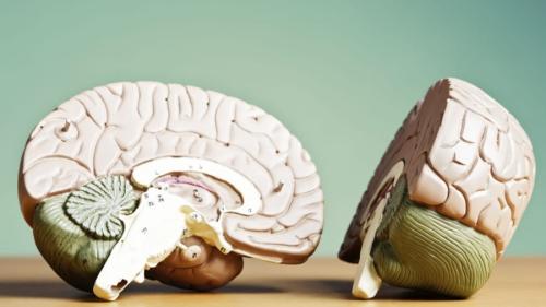 なぜ私たちは意味のない繰り返しにハマってしまうのか?