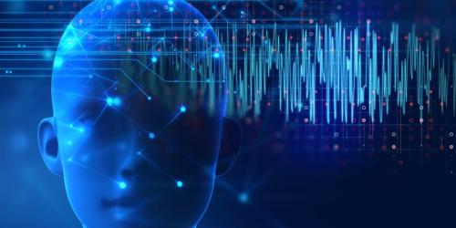 チンパンジーの叫びだけが人の「声エリア」を揺さぶる