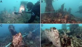 紀元前5800年の「巨大な海底の壁」を発見、フランス