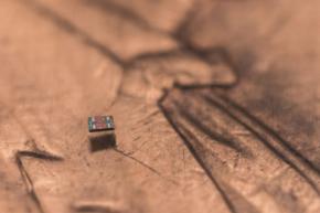 塩粒サイズの「自律型ロボット」の開発に成功