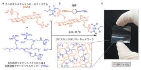 塩水で完全分解する「新型プラスチック」を開発