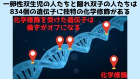 自分が子宮内で兄弟を吸収した「隠れ双子」だったかを調べる方法