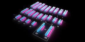 男性細胞と女性細胞が混ざり合っていた殺人被害者――法医学が見つけた“二人分のDNA”