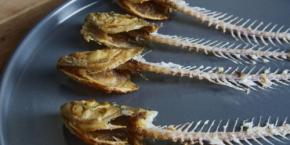 中国科学院「骨なし魚」を食卓へ――身の小骨80本超を遺伝子編集で消去