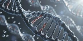 レオナルド・ダ・ヴィンチのDNAを回収できたかもしれない