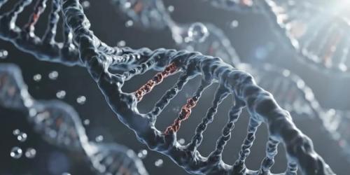 「汚れ」から「証拠」へ──文化財に残るDNAの見方の転換