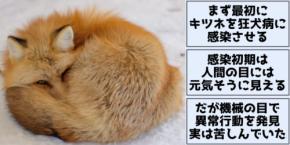 狂犬病キツネの異常行動を、肉眼より9〜16日前に「機械の目」が見抜いた