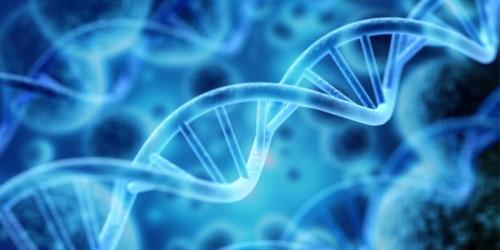 遺伝子を捨てる進化もある