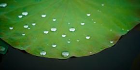 水を弾くことで浮力を得る「沈まない金属」が作られた