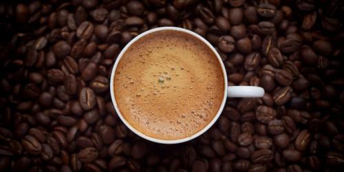 カフェインはマウスの「もうダメ…」を救う