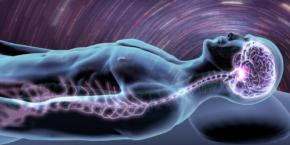 食物繊維を多くとると夢を見る眠り時間が増える――大規模研究で見えた傾向