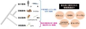 眠っている方が”生物のデフォルト状態”かもしれない