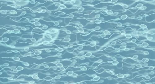 毎秒1000個の精子工場をどう止めるか