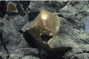 海底に沈む「謎の黄金球体」の正体が判明