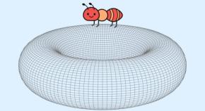 158年信じられてきた幾何学のルール、ドーナツ2つで覆される――「部分を測っても全体は決まらない」