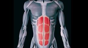 腹筋で脳の『浄化』が起きていた可能性 ── 腹筋は脳洗浄ポンプなのか