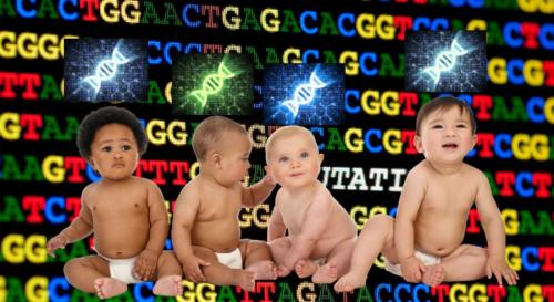 「最高の赤ちゃんを」──商業化の足音