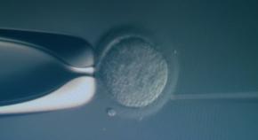 精子を磁性化させて磁力で操ることに成功、しかも磁化した方が元気が長持ちした