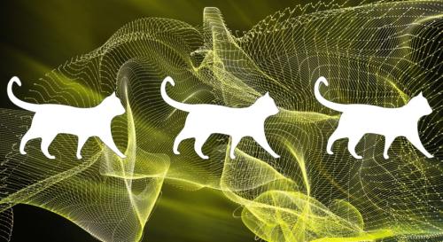シュレーディンガーの猫は時空のゆらぎから解くことができる
