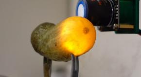 ピクルスが電気で光る謎現象――実は水素爆発と火花が鍵だった