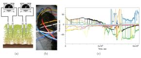 コケが神経ネットワークを思わせる電気パターンを示した