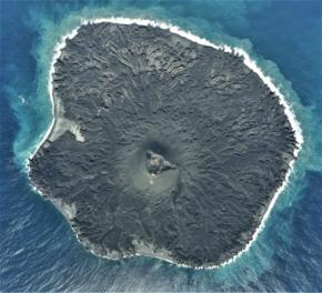 火山噴火で海にできた西之島への「植物の侵入経路」を解明