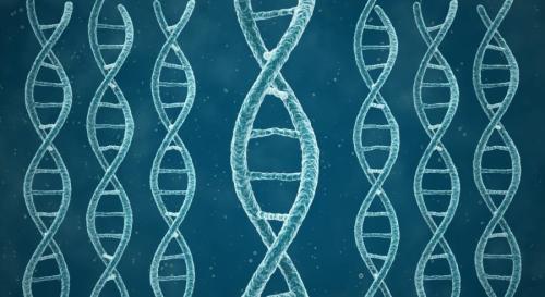 幽霊DNAの1つは全員が持っていた