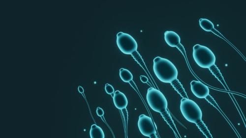 なぜ精子はチーム戦をするようになったのか?