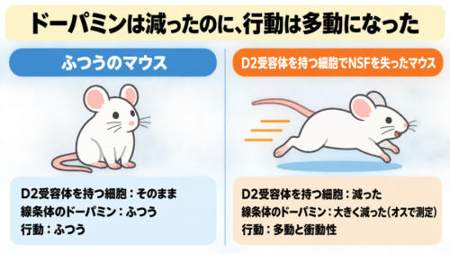 ドーパミンが「減っている」のに動き回るマウス