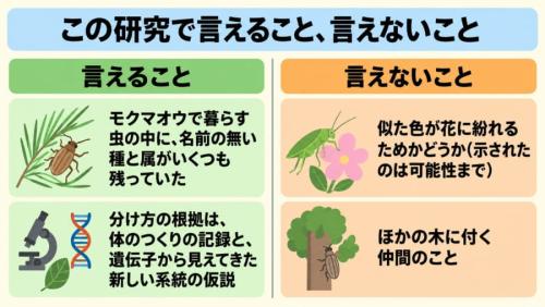 この研究で言えること、言えないこと