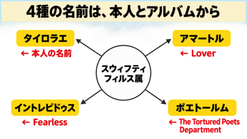 4種の名前は、本人とアルバムから