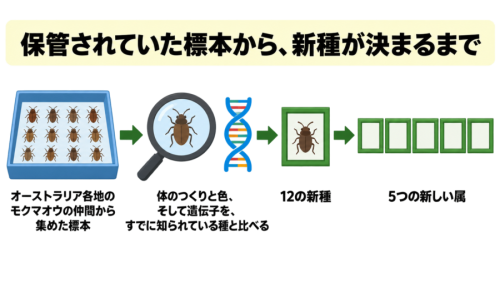 「似た色」のわけと、名前を付けることの意味