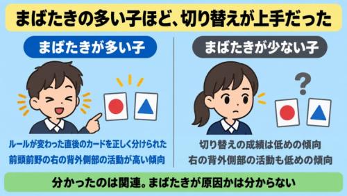 まばたきの多い子ほど、切り替えが上手だった