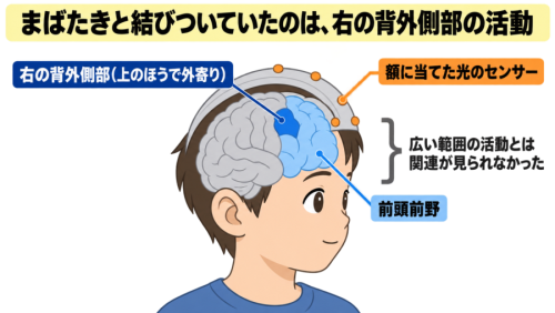 まばたきはなぜ「頭の切り替え」と結びつくのか