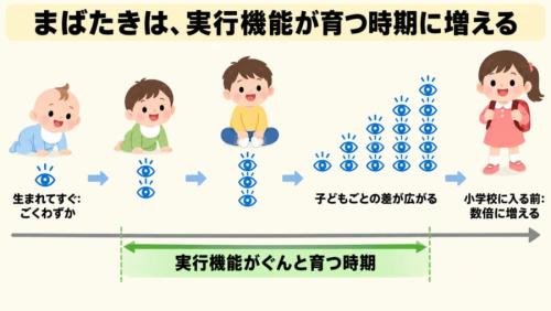 まばたきは、実行機能が育つ時期に増える