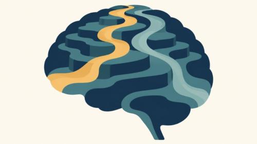 脳の信号には「上り」と「下り」がある
