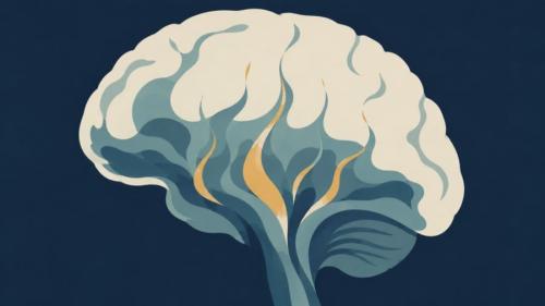 幻覚剤を使った脳で「上りの信号」はどうなっていた?