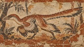 中国で「4枚の翼」を持つ羽毛恐竜の化石を発見