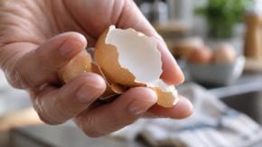 卵の殻が「マグネシウム合金」の材料になると判明