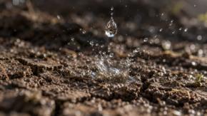 雨上がりの匂いは実は土地と微生物から立ち上っていた
