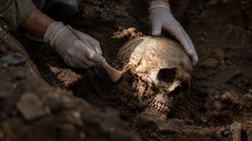 赤ちゃんの「やわらかい頭」と3000年前の墓
