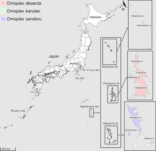 小笠原だけにすむ「グンバイムシ」の謎