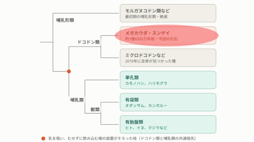 乳を飲む仕組みはさらに昔から受け継いだものだった