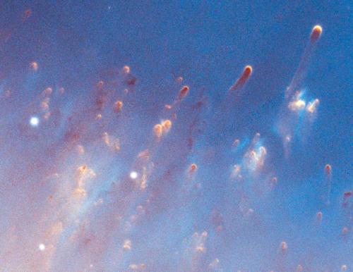 らせん星雲の一部を大きく写した画像です。本文に載せた写真と同じ星雲で、年老いた星が噴き出したガスが光っている「惑星状星雲」です。真ん中の星は、やがて白色矮星になります。