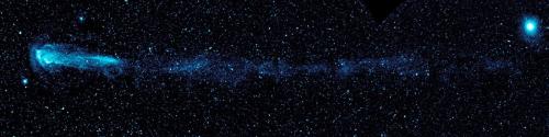 紫外線で写した星ミラで、彗星のような長さ13光年を超えるガスの尾を引いています。ミラは数十億年前には太陽に似た星でしたが、今は表面の物質を大量に放出している赤色巨星です。やがてガスを出しつくし、あとには白色矮星が残るとされています。